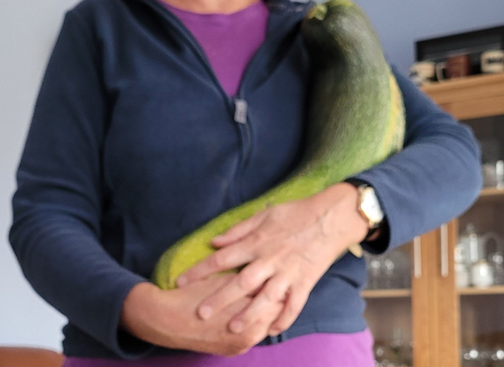 Person it huge curgette