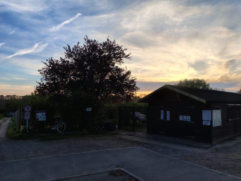 The Shed